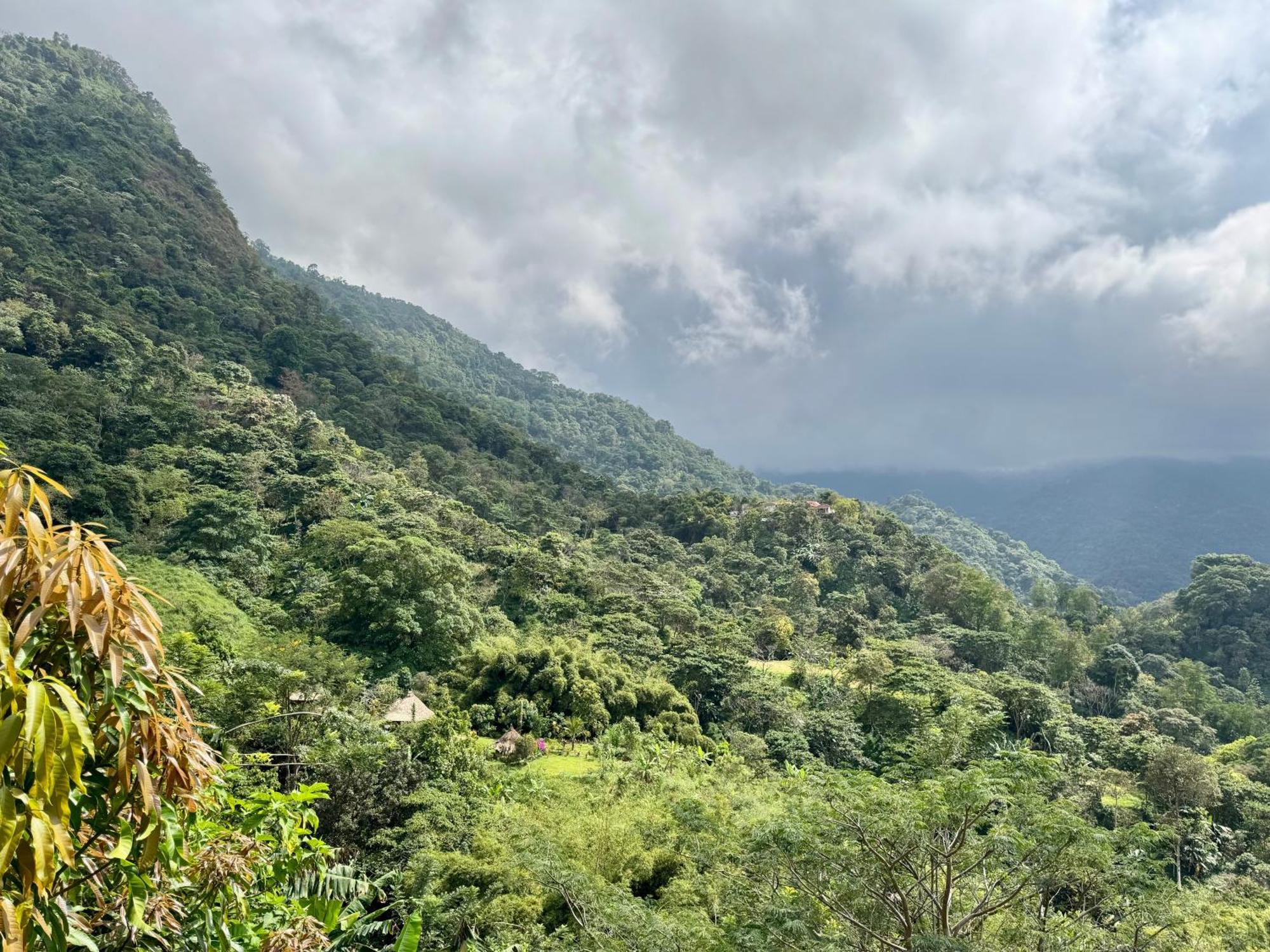 Mundo Nuevo Eco Lodge Minca Bagian luar foto